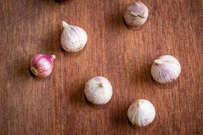 High angle view of eggs on table