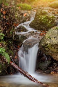 View of waterfall in forest