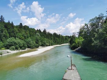 Scenic view of river amidst trees against sky