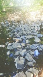 High angle view of rocks in water