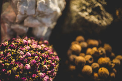 Close-up of flowers for sale