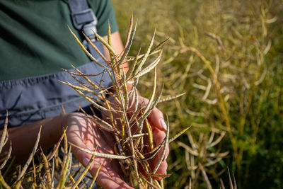 Midsection of man holding wheat