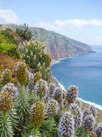 Scenic view of sea against sky