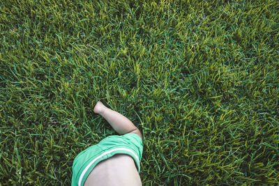 Low section of person wearing shoes on land