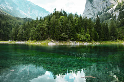 Scenic view of lake by trees against sky