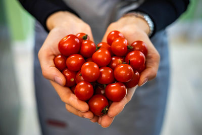 Midsection of man holding tomatoes