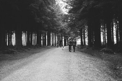 People walking in forest