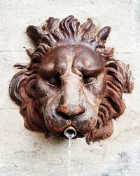 Close-up of lion statue against wall