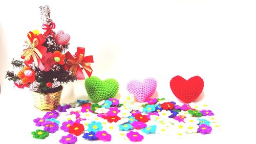 Close-up of multi colored flowers against white background