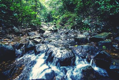 River flowing through rocks