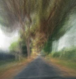 Blurred motion of road amidst trees