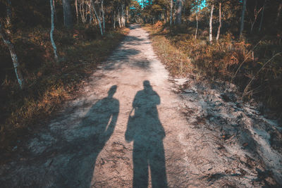 Shadow of people on footpath amidst trees in forest