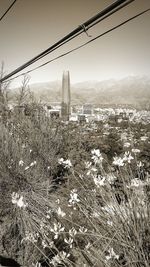 Scenic view of city against sky