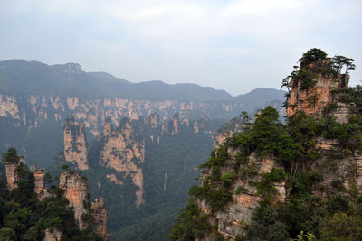 Panoramic view of trees and mountain range against sky