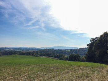 Scenic view of field against sky