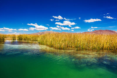 Scenic shot of calm blue sea