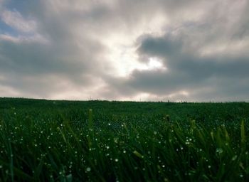 Scenic view of field against cloudy sky