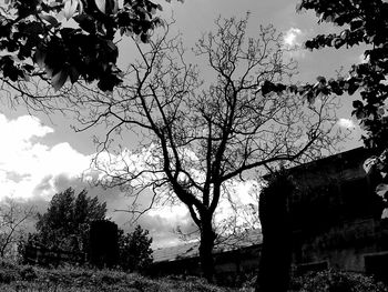 Low angle view of silhouette tree against sky