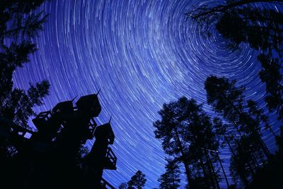 Directly below shot of star trails in sky at night