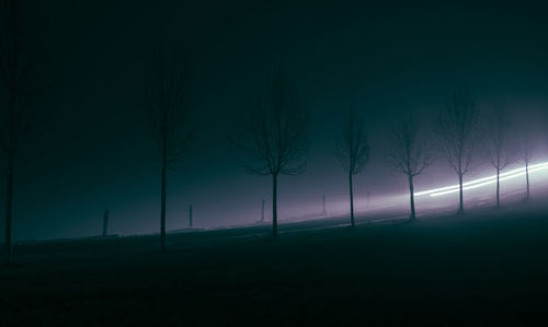 Trees on field against sky at night