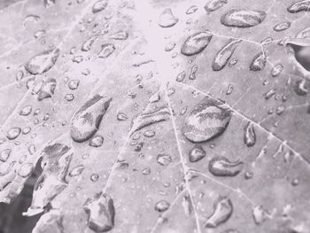 Macro shot of water drops on glass window