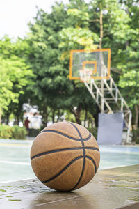 Close-up of basketball hoop against trees