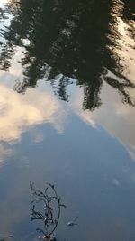 Reflection of tree in lake against sky