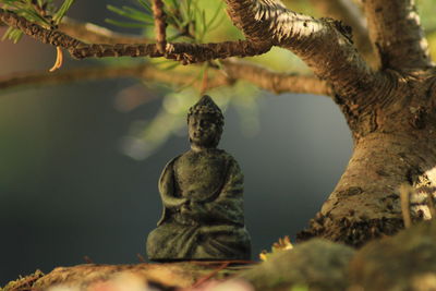 Close up of relaxing buddha