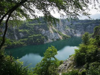 Scenic view of waterfall in forest