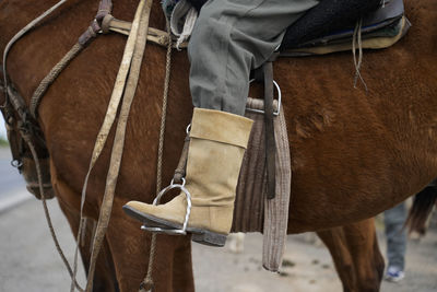 Midsection of man with horse