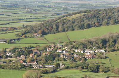 Scenic view of agricultural field by houses and trees