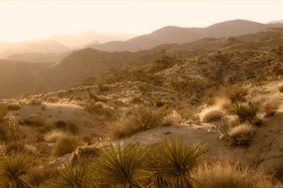 Scenic view of desert against sky