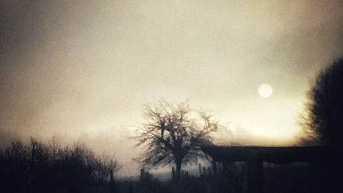 Silhouette bare tree against moon in sky