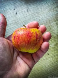 Close-up of hand holding strawberries