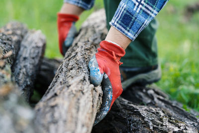 Close-up of man holding rock