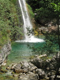Scenic view of waterfall in forest