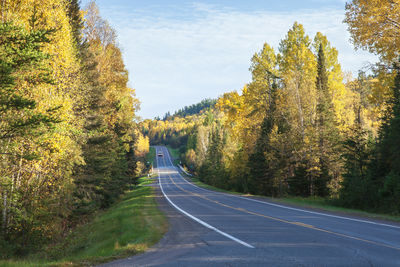 Road amidst trees against sky