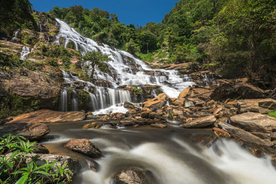 Scenic view of waterfall in forest