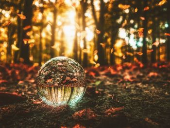 Close-up of crystal ball on field