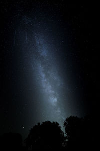 Low angle view of silhouette trees against sky at night