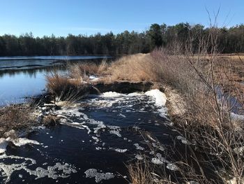 Scenic view of river in forest against clear sky