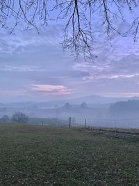 Scenic view of field against sky