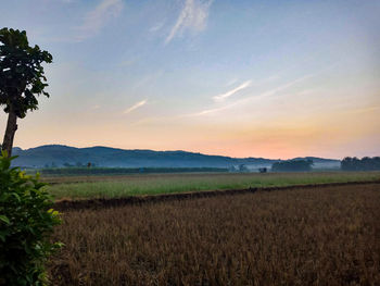 Scenic view of field against sky during sunset