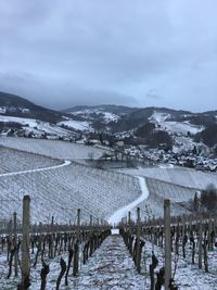 Panoramic view of snowcapped mountains against sky