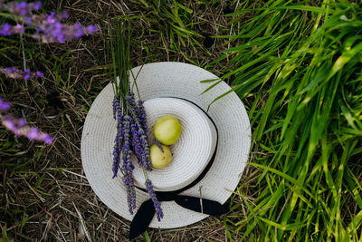 Close-up of hat on grassy field