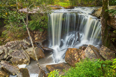 View of waterfall in forest