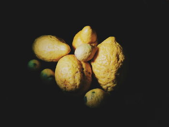 Close-up of red fruit over black background