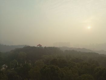 Scenic view of trees against clear sky