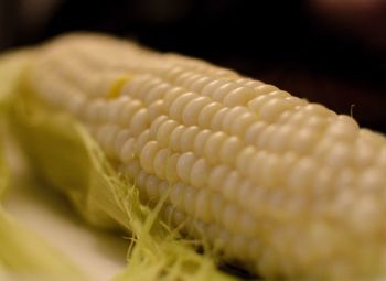 Close-up of bread