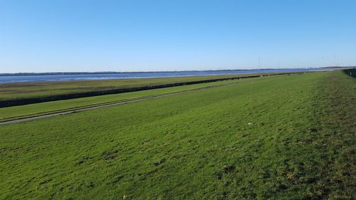 Scenic view of field against clear sky